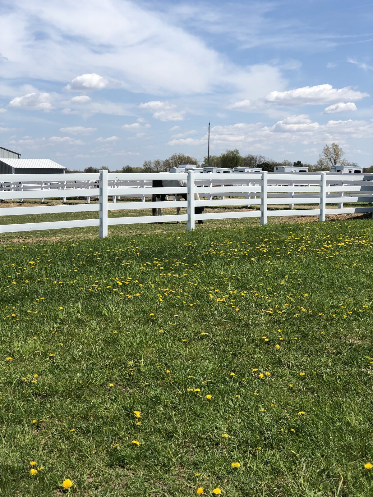 Paddocks and white fencing